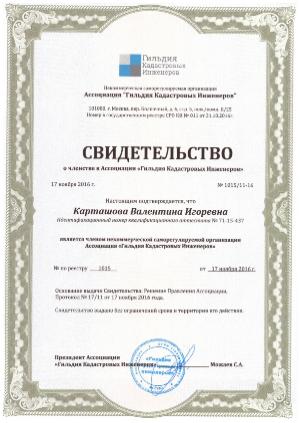 Гильдия кадастровых инженеров Карташова В И