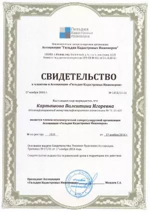 Гильдия кадастровых инженеров Карташова В И